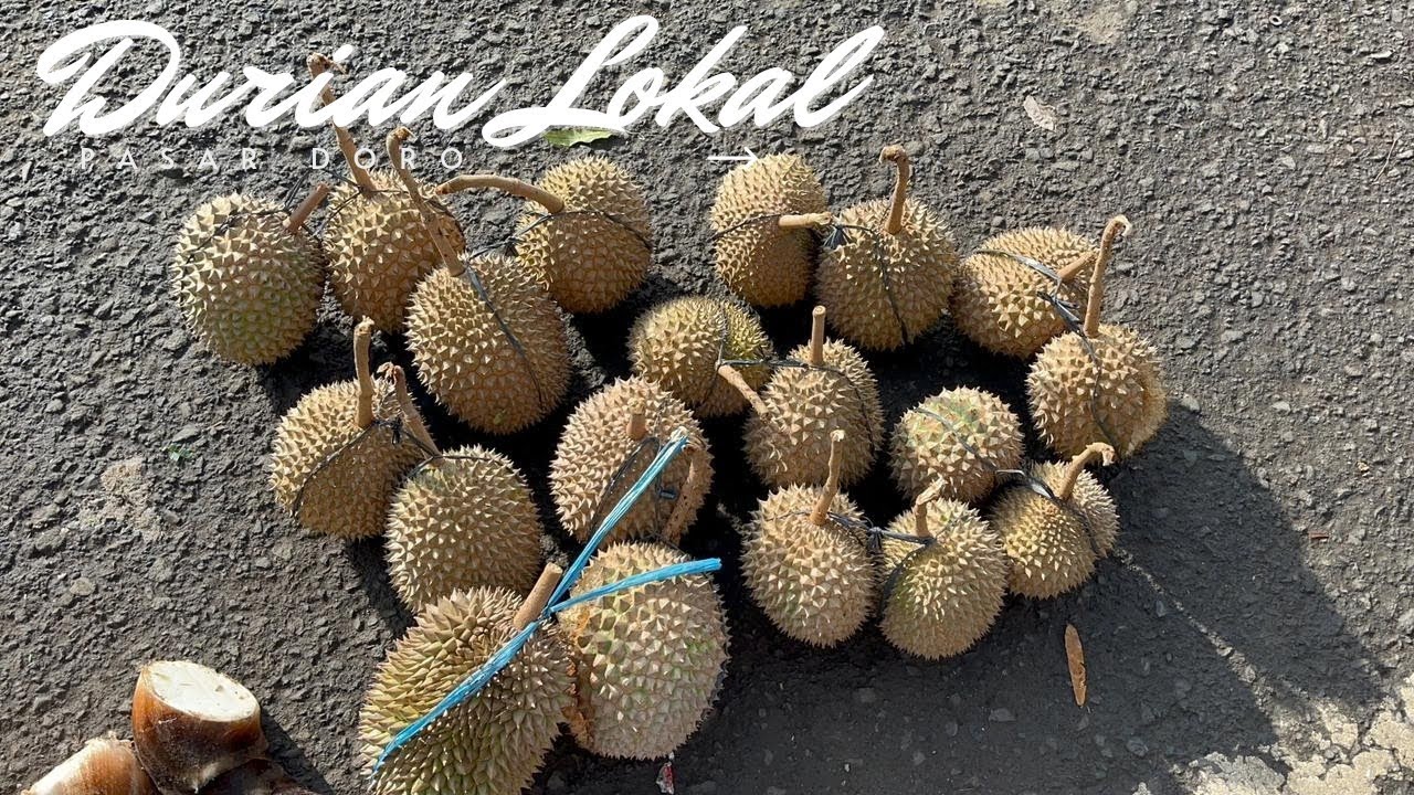 Rp. 50.000,- dapat 4 buah || cocok untuk campuran  es || 1 Maret 2026