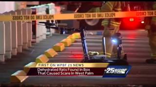 Dead rats lead to hazmat investigation