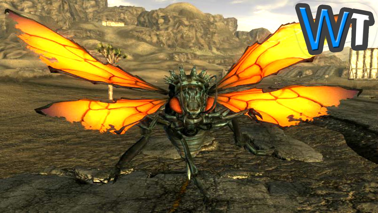 Cazador fallout nv