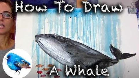 Learn how to draw A HUMPBACK WHALE: STEP BY STEP GUIDE! (Age 5 +)
