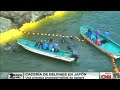 Japoneses cazan delfines para cautiverio y consumo