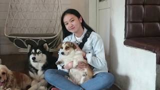 Mbolah Goes To Malang Batu