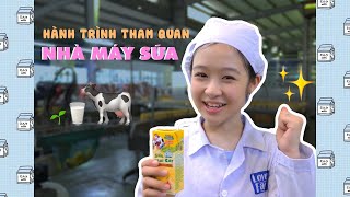 Hành trình khám phá NHÀ MÁY SỮA KUN