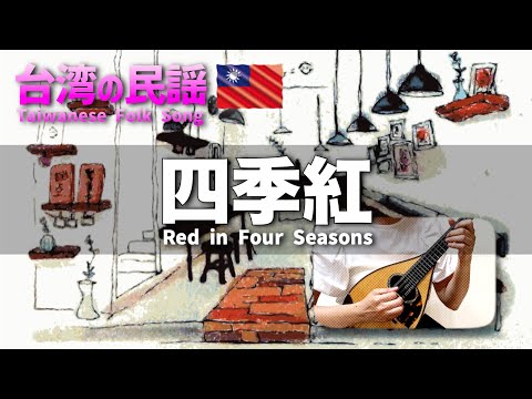 四季紅🌼 Red in Four Season（フォーシーズンレッド）｜🇹🇼 台灣民謠系列 Taiwanese Folk Song｜mandolin：Zihan CHEN