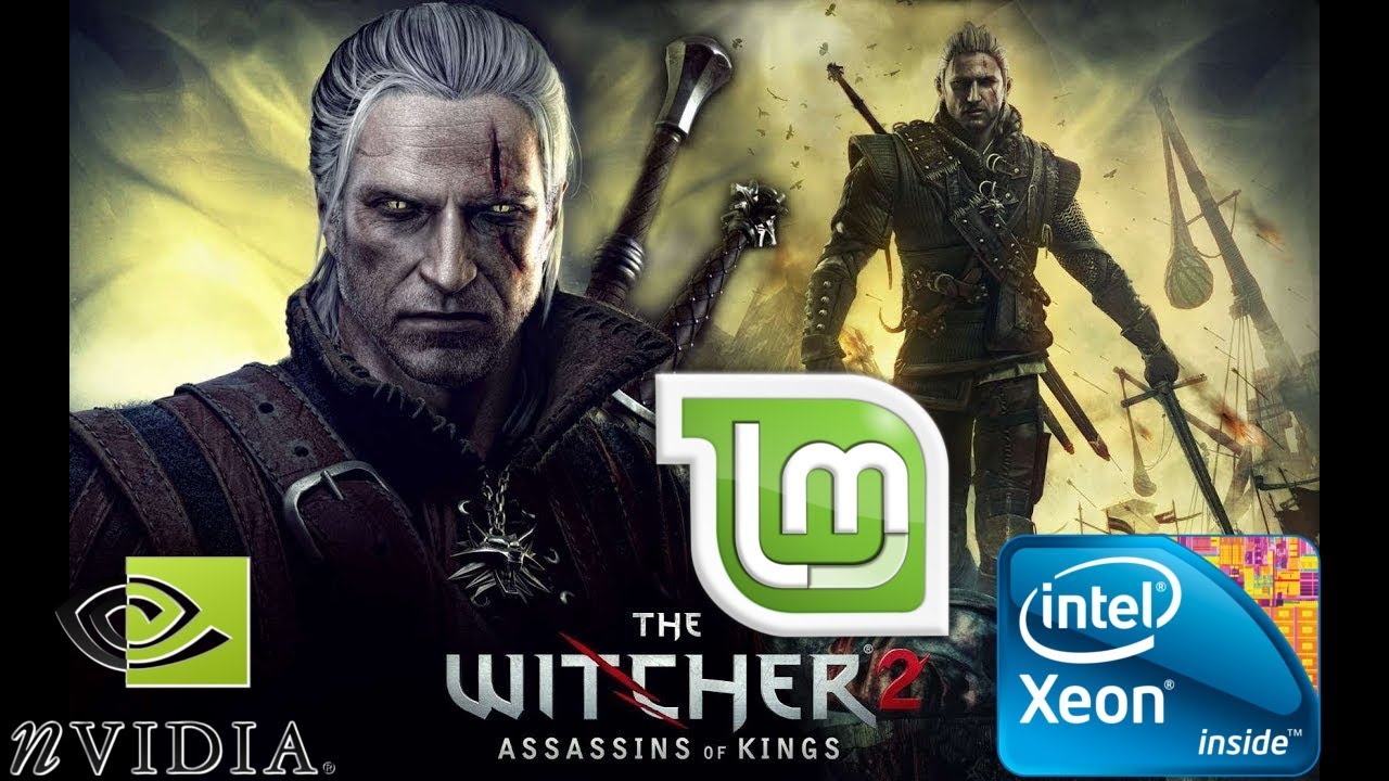 [Linux native] gameplay The Witcher 2: Assassins of Kings Enhanced Edition X5460 lga 775 GTX 750 1gb