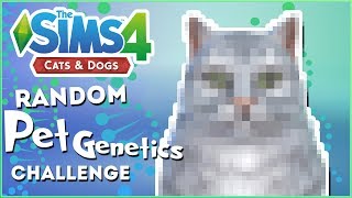 Accepting Feline Defeat!!  Random Pet Genetics Challenge!!  Experiment #18