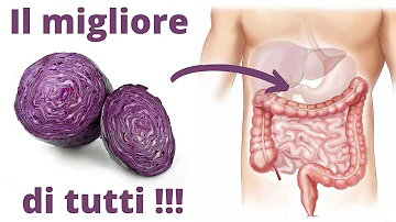 Quale è il cavolo rosso?