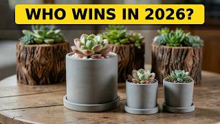 Round or Square: Which Concrete Planter Shape Fits Your Succulent Display