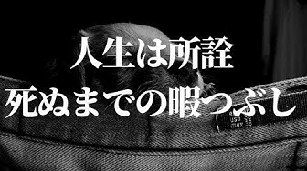暇つぶし Youtube
