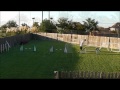 Dog agility  threadle