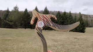 Boomerang giveaway for all of my subscribers