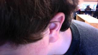 The Wonderful Blobfish