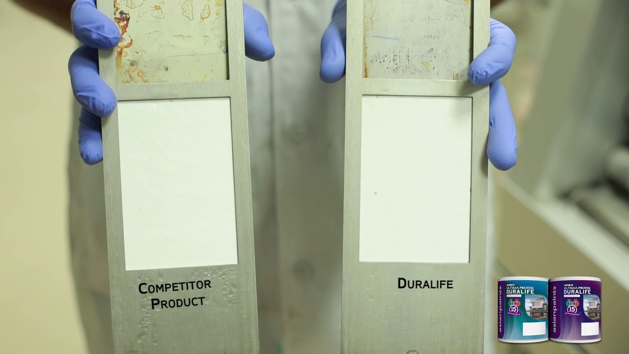 AsianPaints  Duralife all test