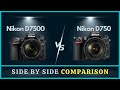 Nikon D750 vs D7500 Comparison | Full frame or APS-C Sensor?