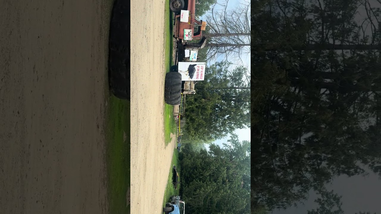 Interview with longtime BC teacher about implementation of gender ideology in BC schools//