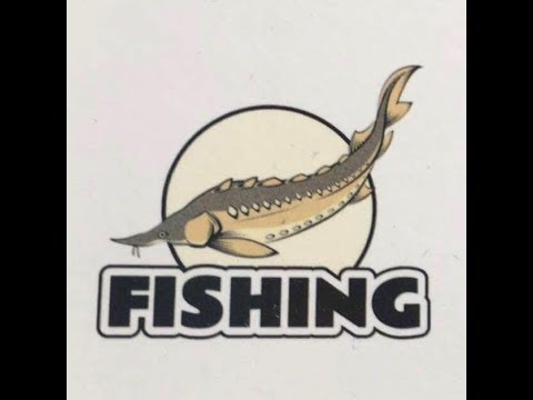 龍潭・三坑老街＆魚師父活魚餐廳休閒、旅遊、美食、露營、民宿、住宿