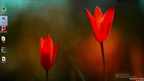 Windows 安装 Python 环境1