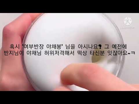 야채님 = 반지님 허위저격 공론하 / 시리즈액괴 / 실시간 액괴 / 다받는 반모방 / 액괴소설 / 액괴시리즈 / 대규모 시리즈 / 소규모 시리즈 /  시액 / 공론화 시리즈액괴