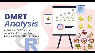 DMRT Analysis in R: ANOVA with DMRT Letters for Agricultural &amp; Veterinary Data Analysis