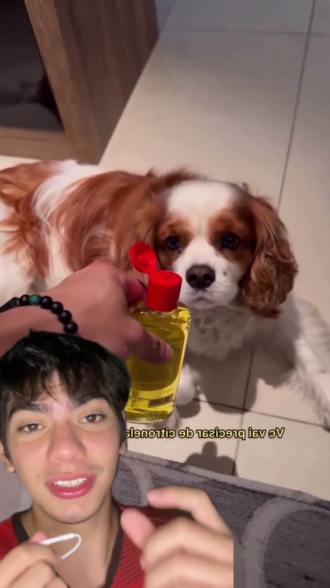 Café no chão impede seu pet de fazer xixi no lugar errado! ☕? Testa e me conta!