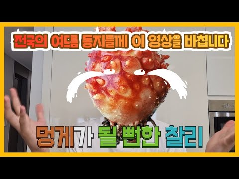 여드름으로 멍게가 될 뻔한 고등학생 찰리 - <strong>찰리의</strong> 트루먼쇼 ep381 ft.찰리 여드름 3종 세트