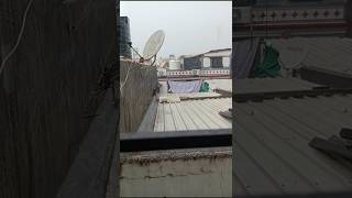 આજે સુરત માં વરસાદ આવી ગયો😃 #minivlog #shortvideo #vlog #surat #trending #shortvideo #viral