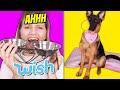 Comprei coisas para minha CACHORRA na WISH!