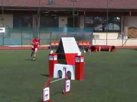 agility dog 2° posto gara agility mentana 2 maggio aragorn