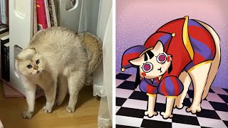 Cat Memes: The Amazing Digital Circus by Cat Memes 28,355 views 2 weeks ago 10 minutes, 32 seconds