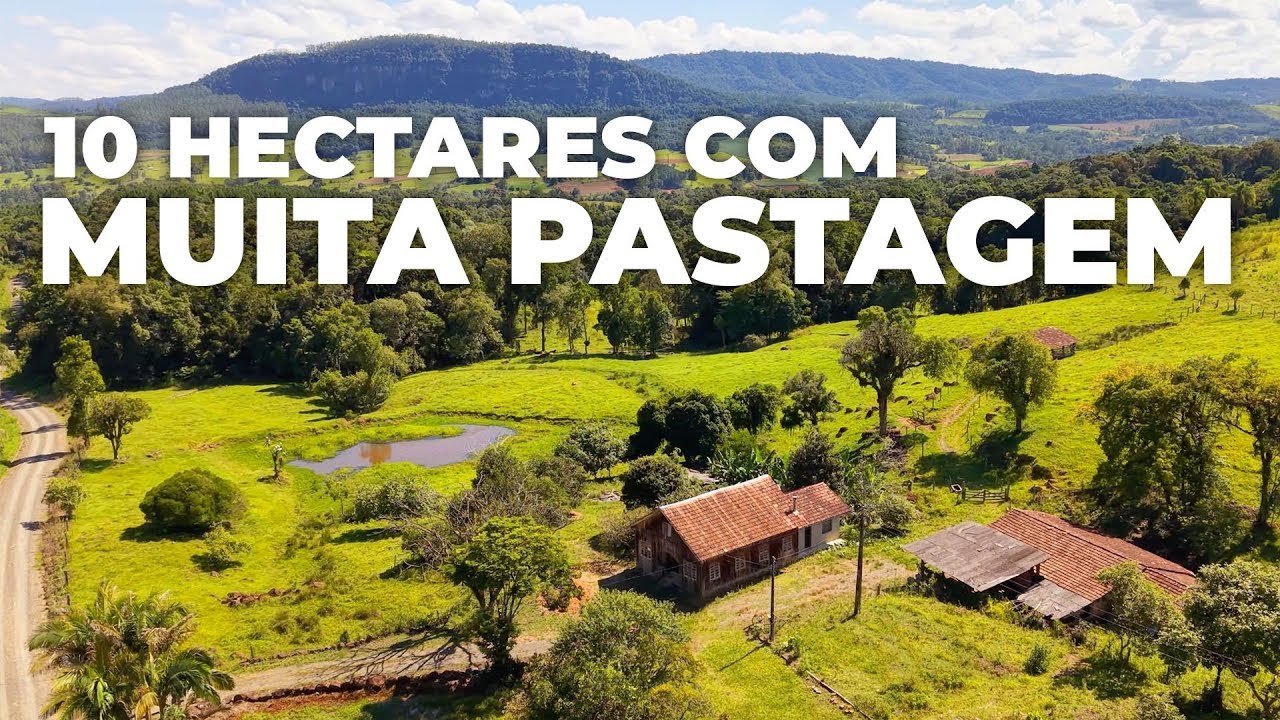 SÍTIO À VENDA COM 10 HECTARES E MUITA PASTAGEM EM SANTA CATARINA