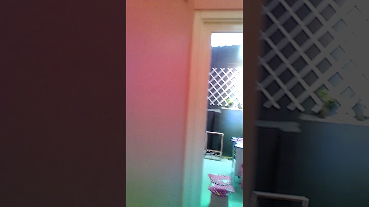 Villa kitty - YouTube