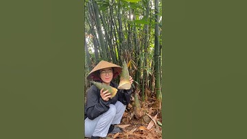 Thử ăn măng tre luộc#shorts