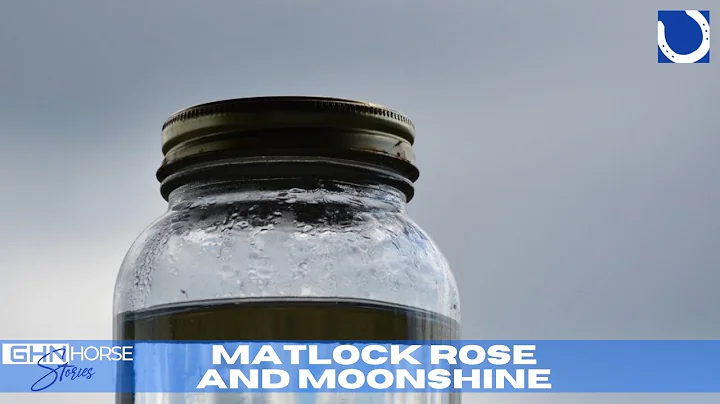 GHN Horse Stories - Matlock Rose and moonshine
