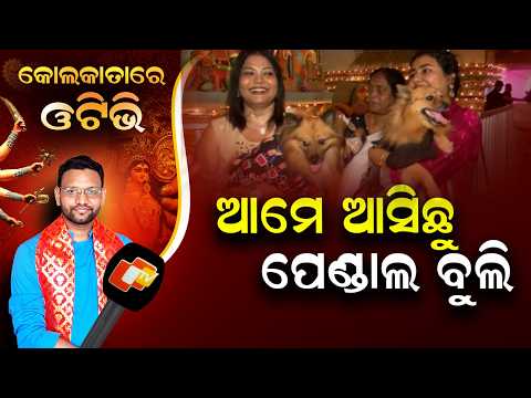 Durga Puja Fever Grips Kolkata; Family Visits Pandals With Their Pet Dog