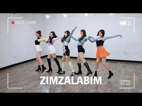 [SIDE <strong>CAM</strong>] 레드벨벳 Red Velvet &amp;#39;짐살라빔 (Zimzalabim)&amp;#39; | 커버댄스 DANCE <strong>COVER</strong> | 사이드캠 안무 일반+거울모드