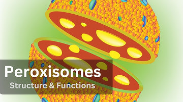 Peroxisomes, Peroxisomes Structure and Function|| Biology ||Cell Biology