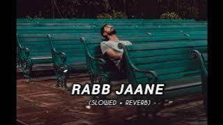 Rabb Jaane - Garry Sandhu [Slowed   Reverb] Song ||