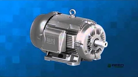 Hi-End WEG W22 Motor Model