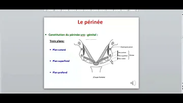 Comment rééduquer le périnée chez l'homme ?