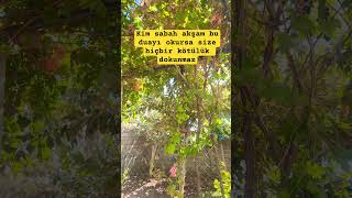 Sabah Akşam Bu Duayı Mutlaka Oku