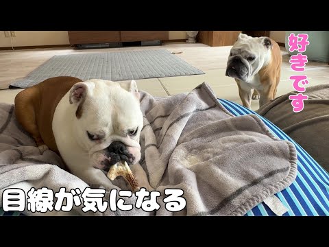 妹の事が好きになってしまいました…