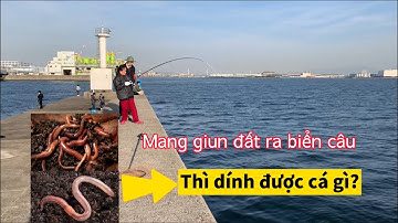 Mang giun đất ra biển câu thử nghiệm và cái kết | Gia Đình Cá Tráp