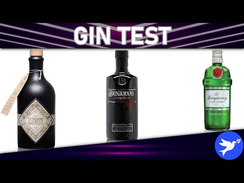 Video: De 7 Beste Billige Gin-merkene Under $ 20