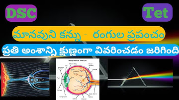 మానవుని కన్ను -  రంగుల ప్రపంచం  10వ తరగతి ఫిజిక్స్ మోస్ట్ ఇంపార్టెంట్ టాపిక్