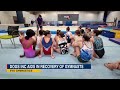 Dogs Inc. aids in recovery for athletes at EVO Gymnastics