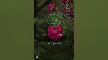 سورة ق القارئ سعود الفايز 🎧أرح سمعك