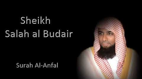 سورة الأنفال / صلاح البدير