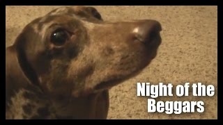 Night of the Beggars