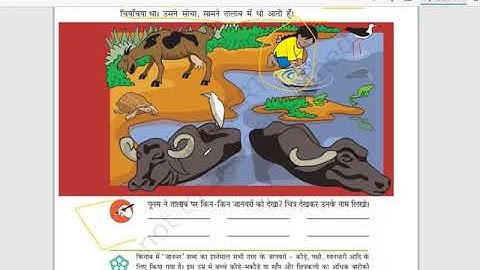 daal daal pr, taal taal pr #evs #aaspas #class3 #hindimedium