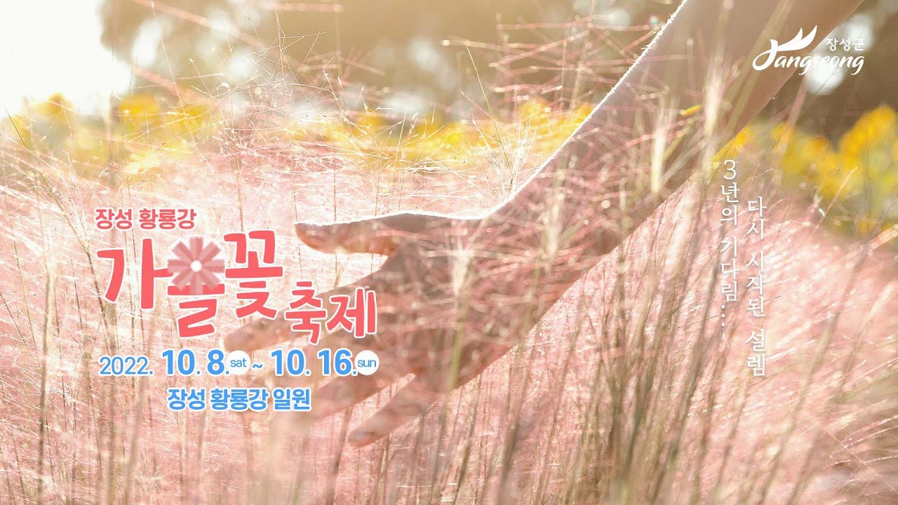장성 황룡강 가을꽃축제 | 3년의 기다림... 다시 시작된 설렘 - Youtube